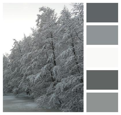 Snowy Winter Winter Landscape Image